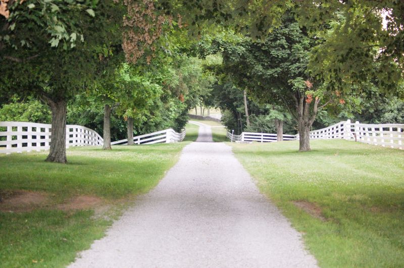 Post-Grading Surface